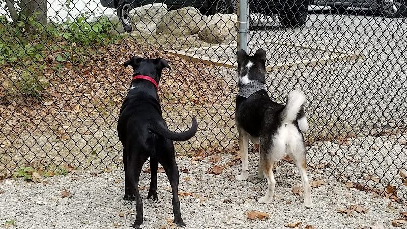 Jefferson Dogpark - Oak Ridge, NJ