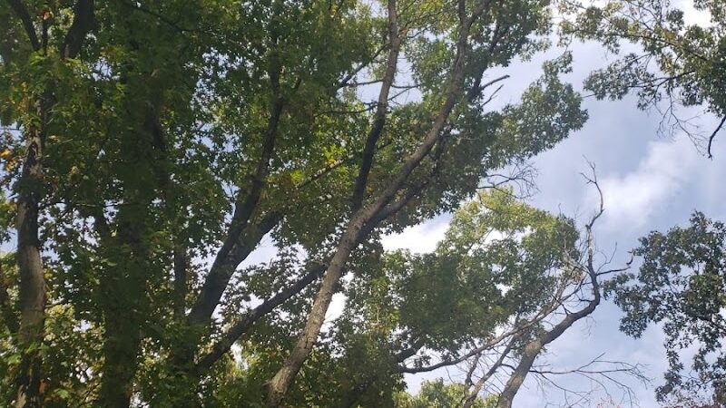 Jefferson Dogpark - Oak Ridge, NJ