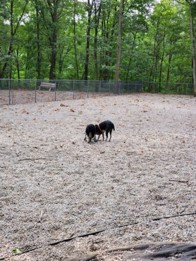 Jefferson Dogpark - Oak Ridge, NJ