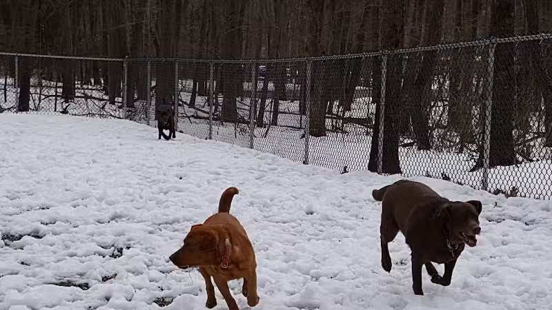 Jefferson Dogpark - Oak Ridge, NJ