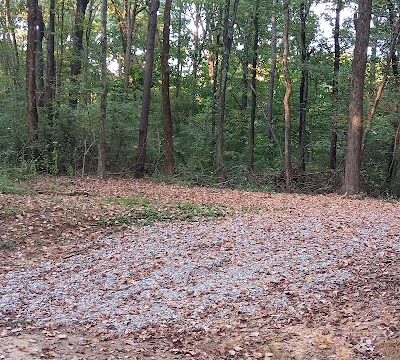 New Lake Campground - Oakland City, IN