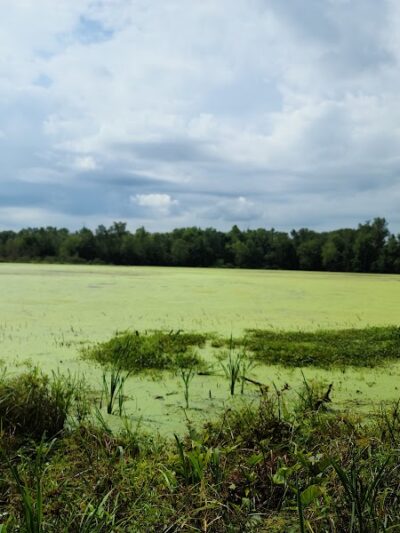 Patoka River National Wildlife Refuge Snakey Point - Oakland City, IN