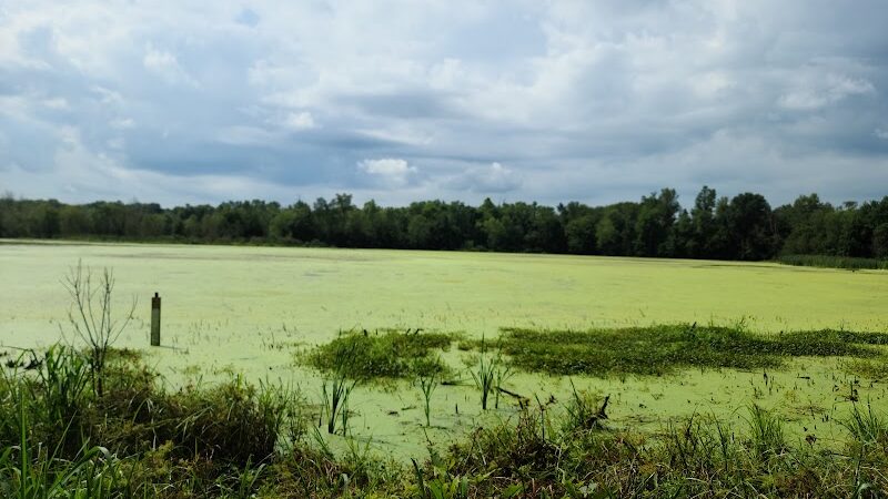 Patoka River National Wildlife Refuge Snakey Point - Oakland City, IN