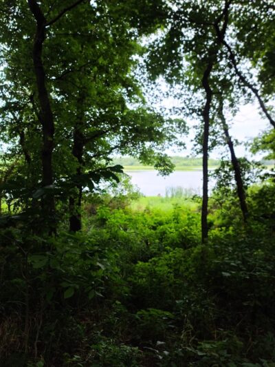 Patoka River National Wildlife Refuge Snakey Point - Oakland City, IN