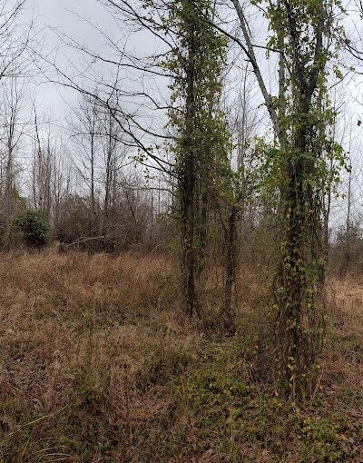 Patoka River National Wildlife Refuge Snakey Point - Oakland City, IN