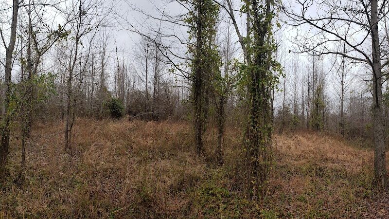 Patoka River National Wildlife Refuge Snakey Point - Oakland City, IN