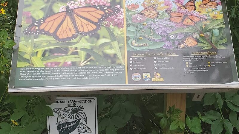 Patoka River National Wildlife Refuge Snakey Point - Oakland City, IN