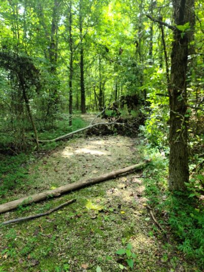 Patoka River National Wildlife Refuge Snakey Point - Oakland City, IN