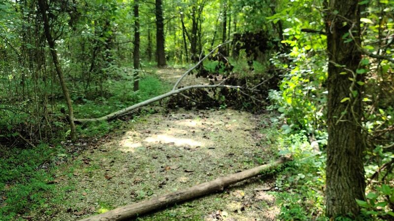 Patoka River National Wildlife Refuge Snakey Point - Oakland City, IN