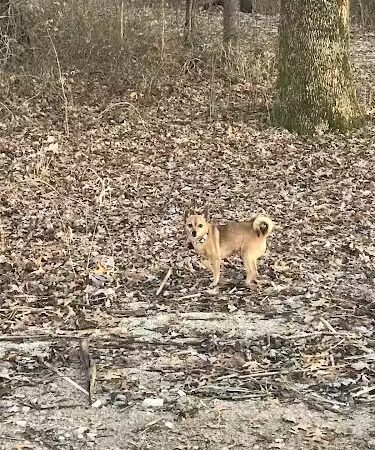Patoka River National Wildlife Refuge Snakey Point - Oakland City, IN