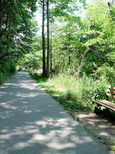 Alley Pond Park - Oakland Gardens, NY