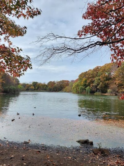 Alley Pond Park - Oakland Gardens, NY