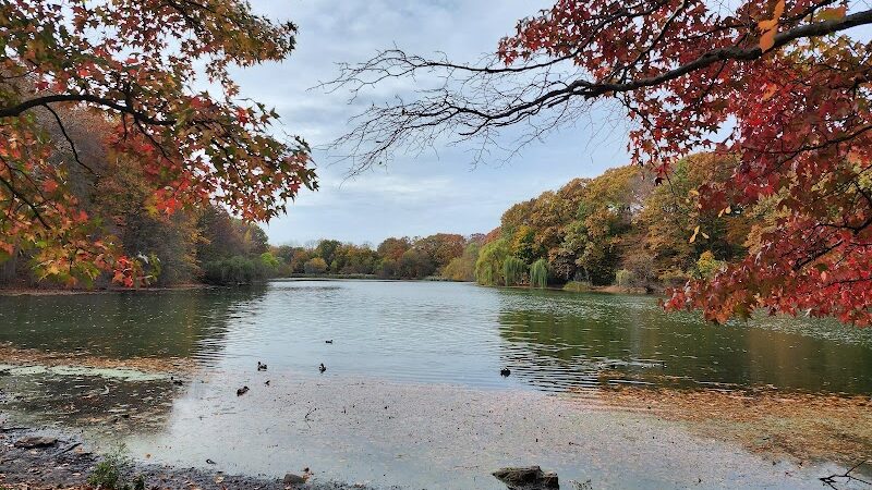 Alley Pond Park - Oakland Gardens, NY