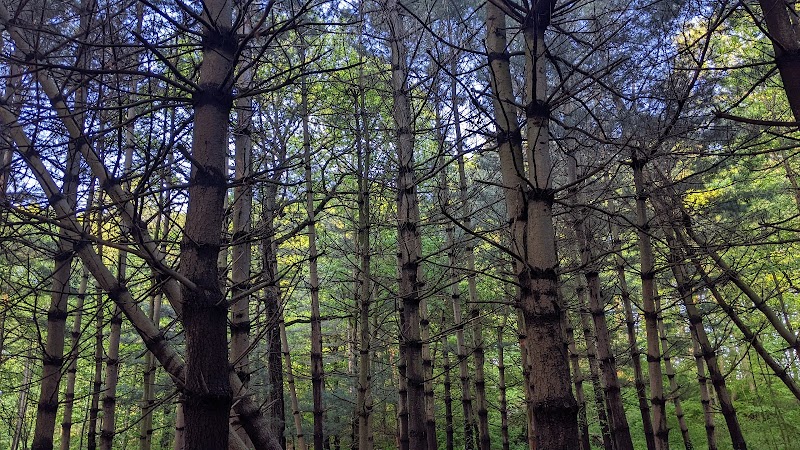 Alley Pond Park - Oakland Gardens, NY