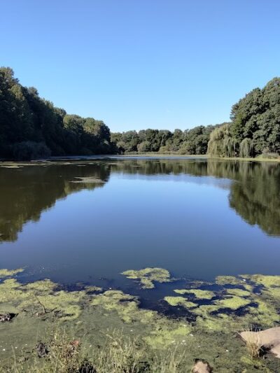 Alley Pond Park - Oakland Gardens, NY