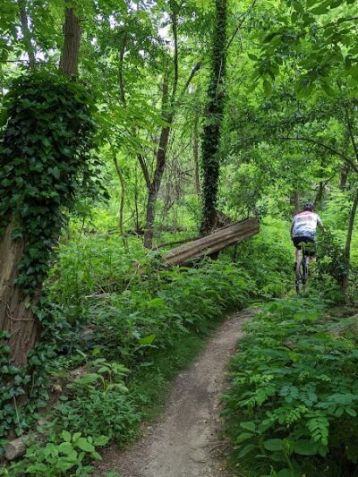 Cunningham Park Mountain Bike Trailhead - Oakland Gardens, NY