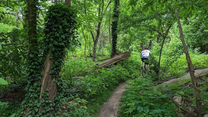 Cunningham Park Mountain Bike Trailhead - Oakland Gardens, NY