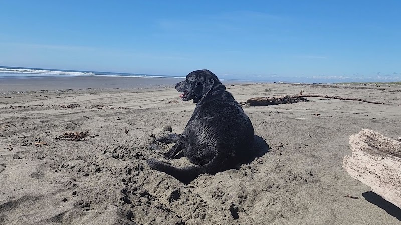 Off Leash Dog Beach - Ocean Shores, WA