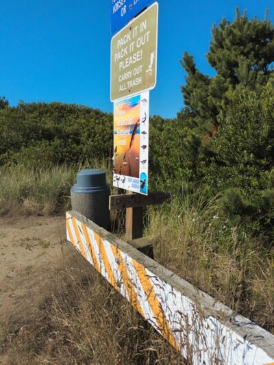 Off Leash Dog Beach - Ocean Shores, WA