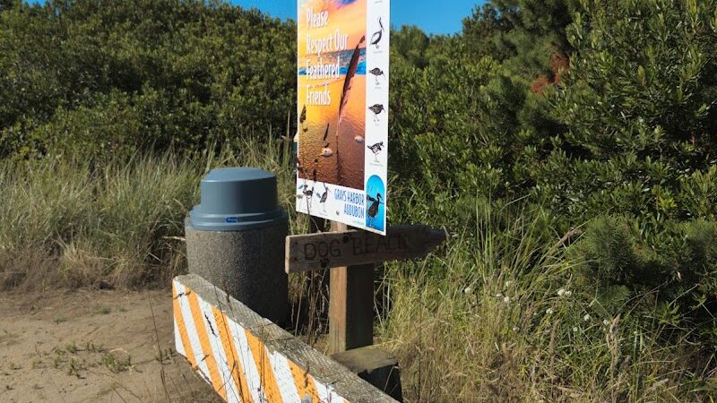 Off Leash Dog Beach - Ocean Shores, WA