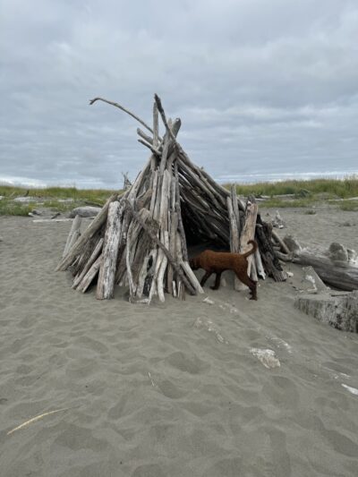 Off Leash Dog Beach - Ocean Shores, WA