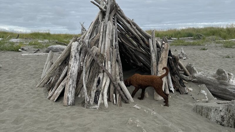 Off Leash Dog Beach - Ocean Shores, WA