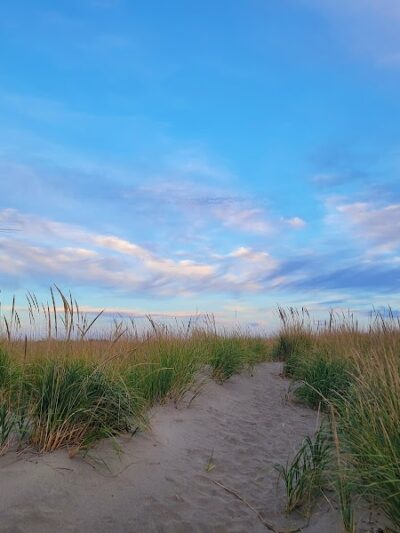Off Leash Dog Beach - Ocean Shores, WA