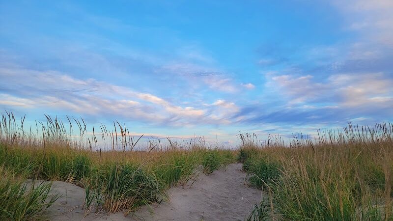 Off Leash Dog Beach - Ocean Shores, WA