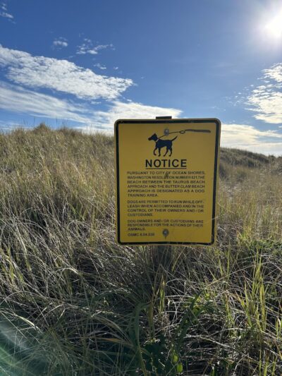 Off Leash Dog Beach - Ocean Shores, WA