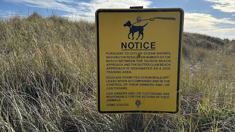 Off Leash Dog Beach - Ocean Shores, WA