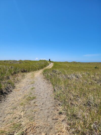 Off Leash Dog Beach - Ocean Shores, WA