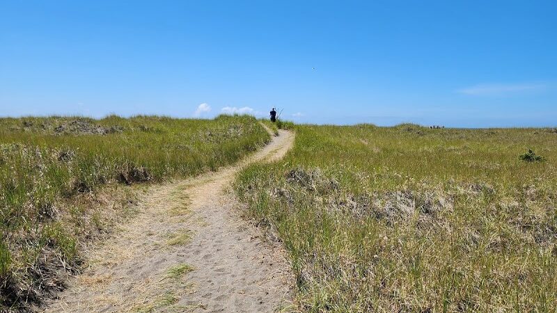 Off Leash Dog Beach - Ocean Shores, WA