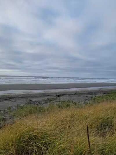 Off Leash Dog Beach - Ocean Shores, WA