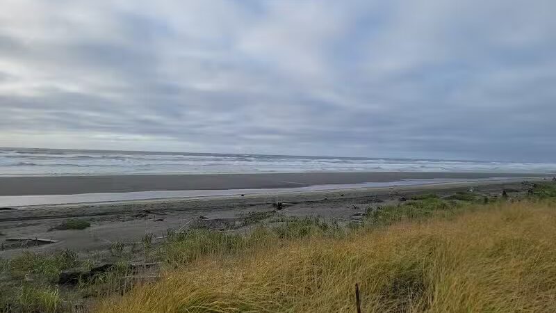 Off Leash Dog Beach - Ocean Shores, WA