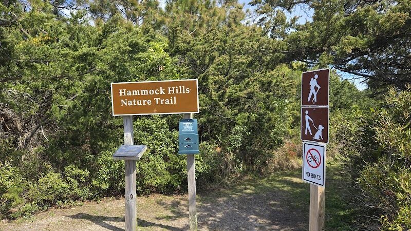 Hammock Hills Nature Trail - Ocracoke, NC