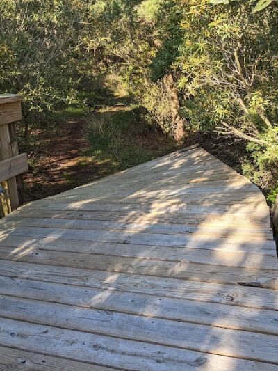 Hammock Hills Nature Trail - Ocracoke, NC