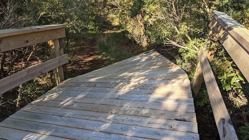 Hammock Hills Nature Trail - Ocracoke, NC