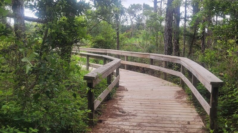 Hammock Hills Nature Trail - Ocracoke, NC