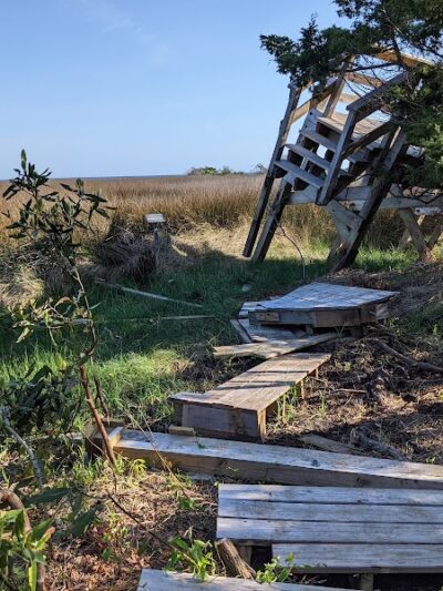 Hammock Hills Nature Trail - Ocracoke, NC