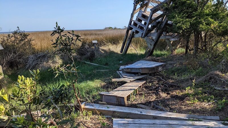 Hammock Hills Nature Trail - Ocracoke, NC