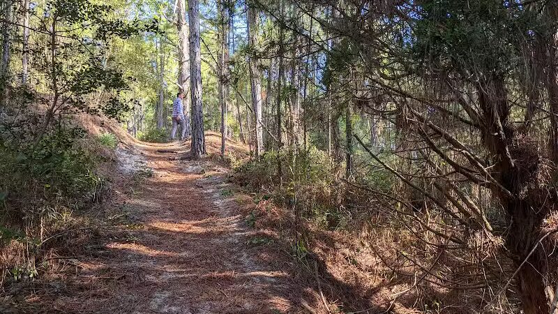 Hammock Hills Nature Trail - Ocracoke, NC