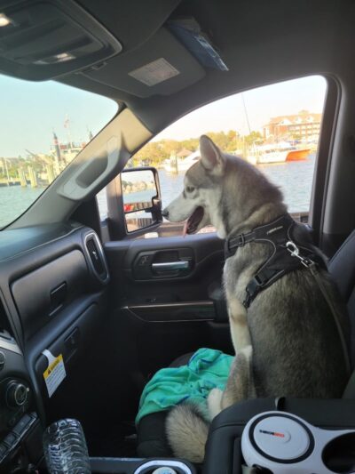 National Park Service Ocracoke Campground - Ocracoke, NC