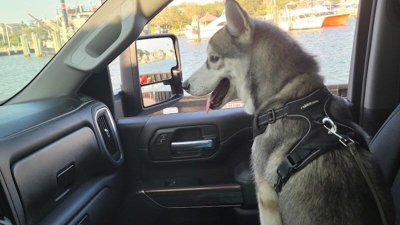 National Park Service Ocracoke Campground - Ocracoke, NC