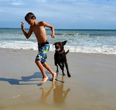 Sandy Paws Bed & Biscuit Inn - Ocracoke, NC