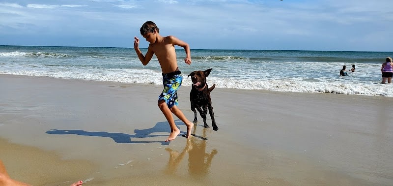 Sandy Paws Bed & Biscuit Inn - Ocracoke, NC