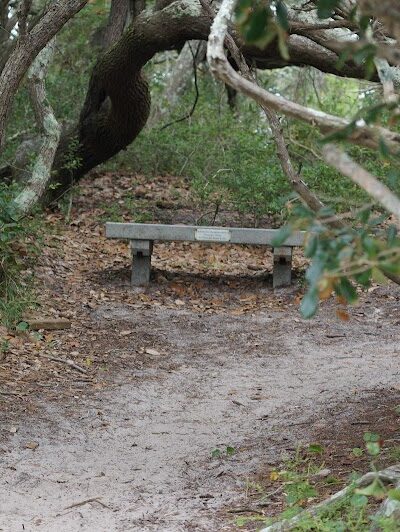 Springer's Point Preserve - Ocracoke, NC