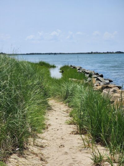 Springer's Point Preserve - Ocracoke, NC