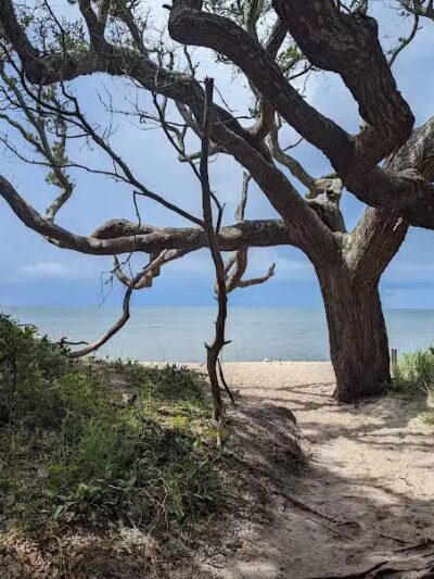 Springer's Point Preserve - Ocracoke, NC