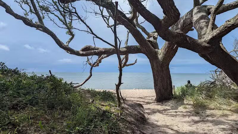 Springer's Point Preserve - Ocracoke, NC