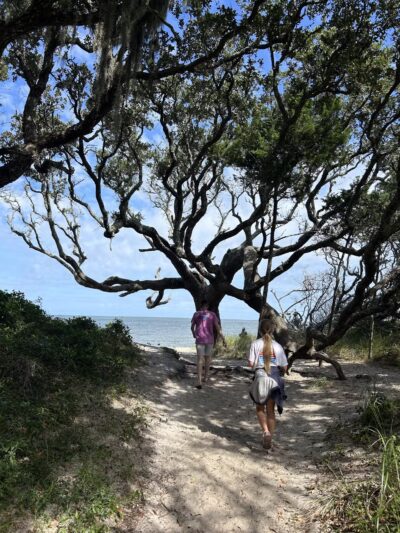 Springer's Point Preserve - Ocracoke, NC